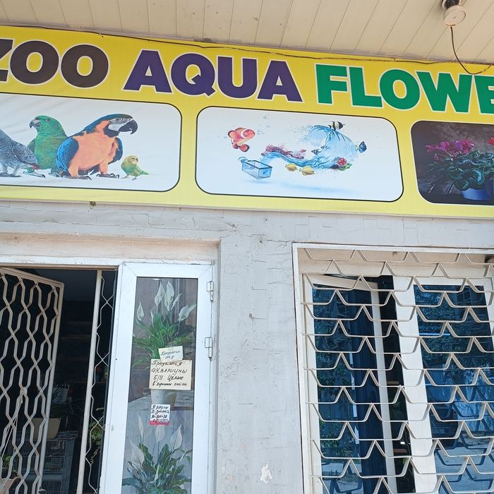 Продается готовый бизнес, действующий магазинчик ,Zoo Aqwa Flowers