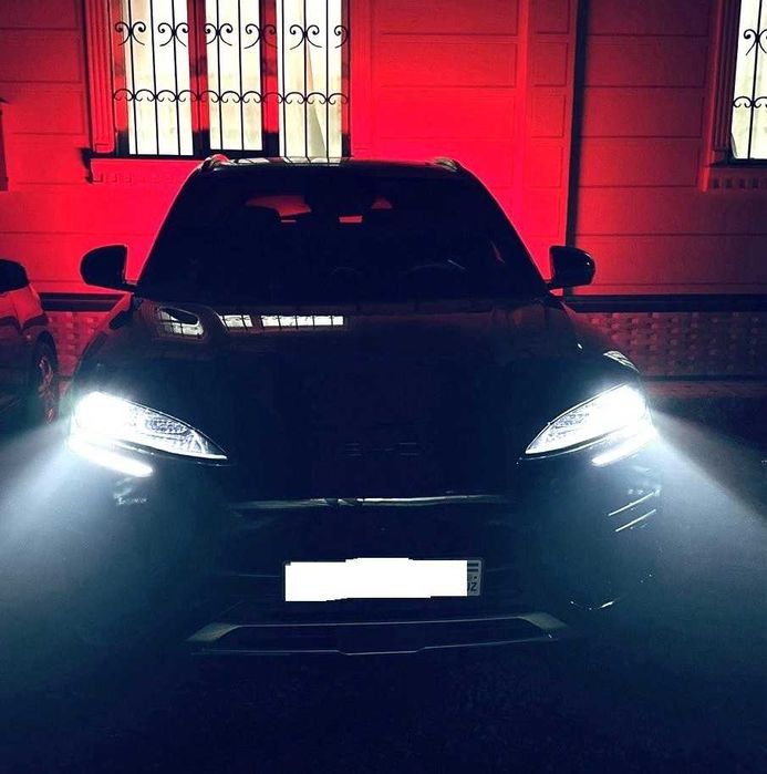 BYD CHAMPION 2025 Restyling