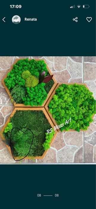Set 3 hexagoane premium