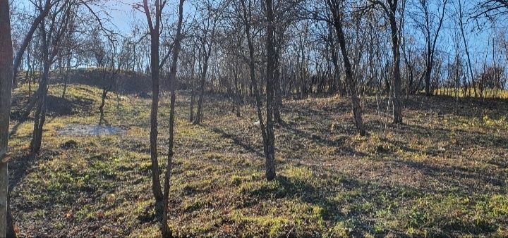 Teren Poiana Campina