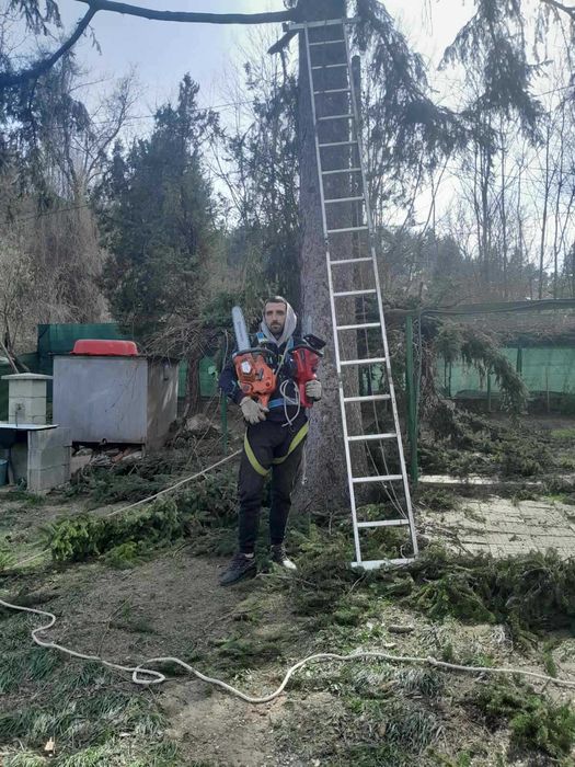 Рязане на опасни дървета,Кастрене,Косене