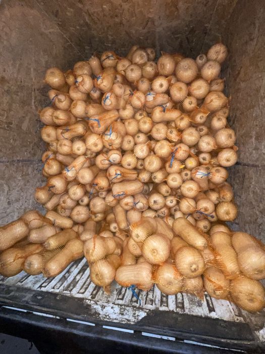 Vand dovleci placintari