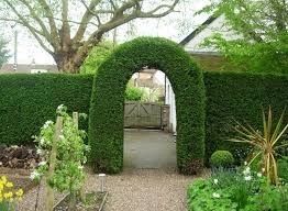 Живая Изгород и Бюричина