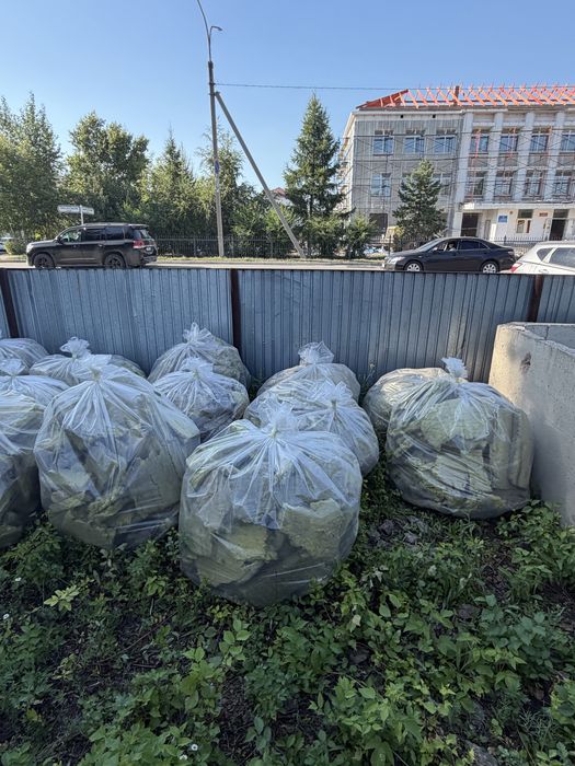 Отдам бесплатно минвату
