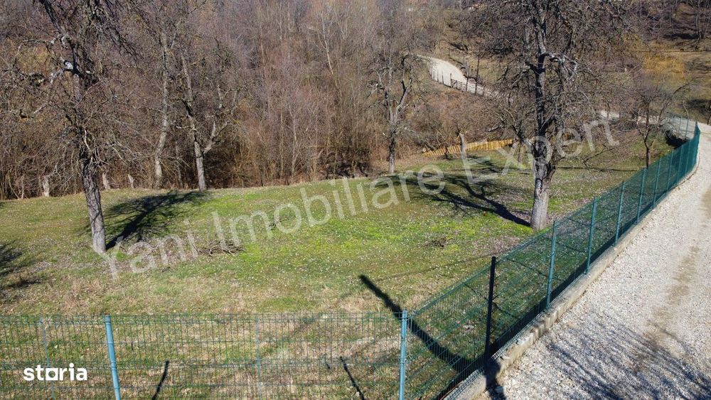 Teren de vânzare în comuna Valea Iasului, sat Cerbureni, județ Argeș.