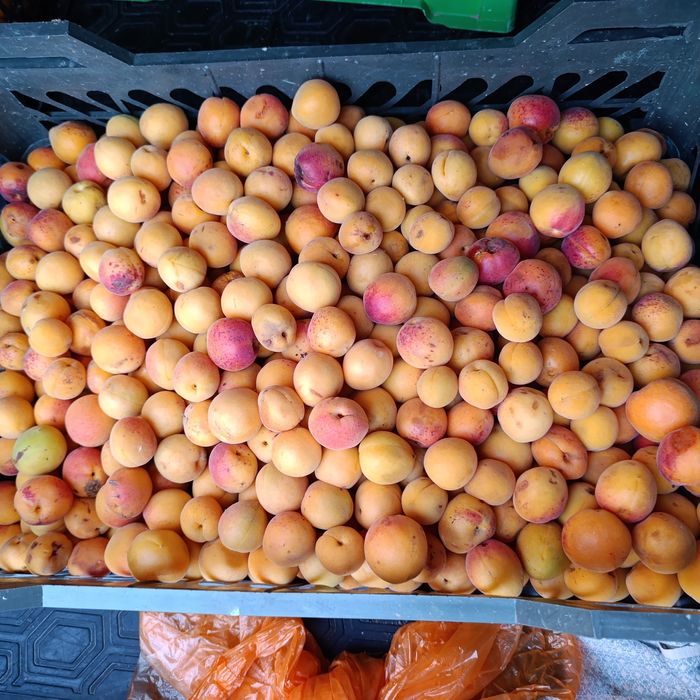 Проддам дачу с/о Химик