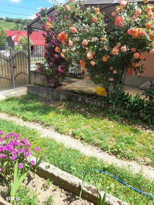 Proprietate Unică Bonțida – 3 Clădiri, Business Camping EC,