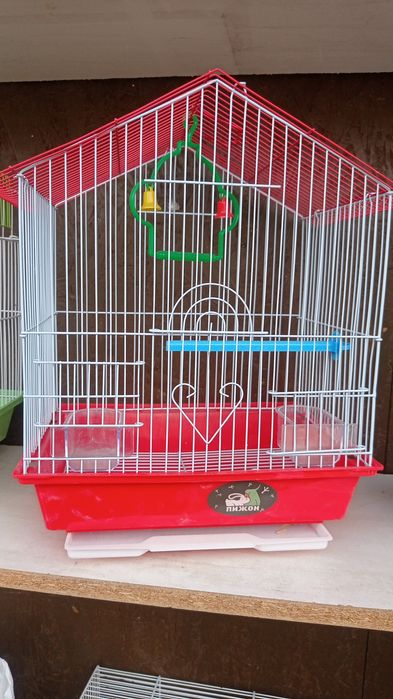 Акция попугай плюс клетка