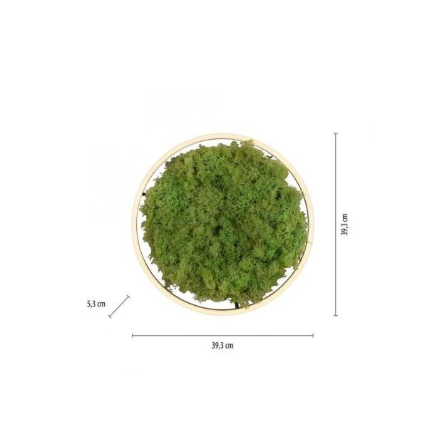 Плафониера от естествен исландски мъх