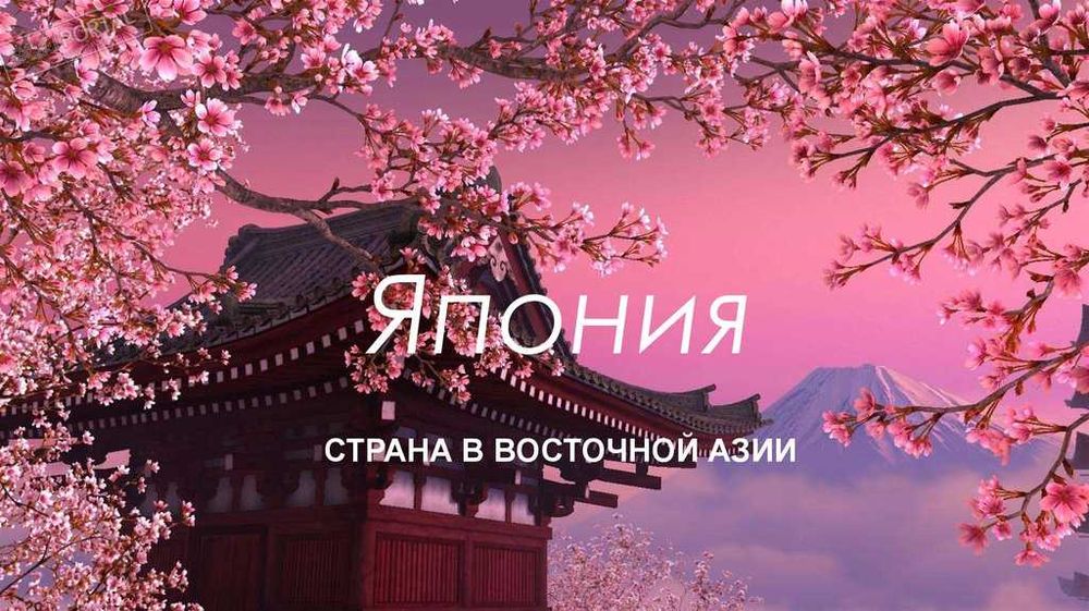 Визовая поддержка в Японию. Визовые оформление.