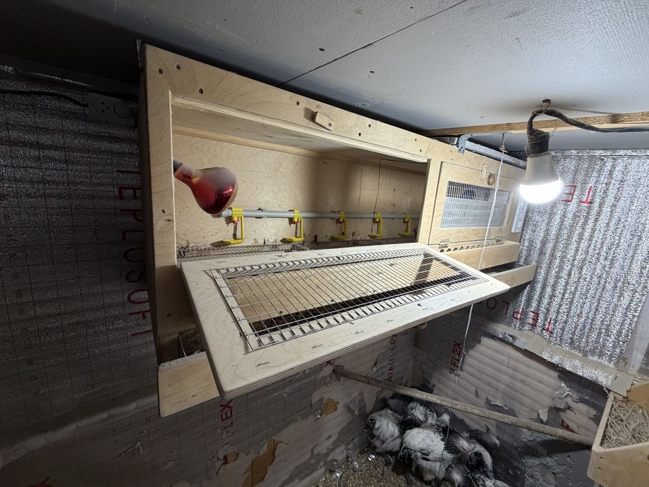 Толық автоматтандырылған брудер сатылады