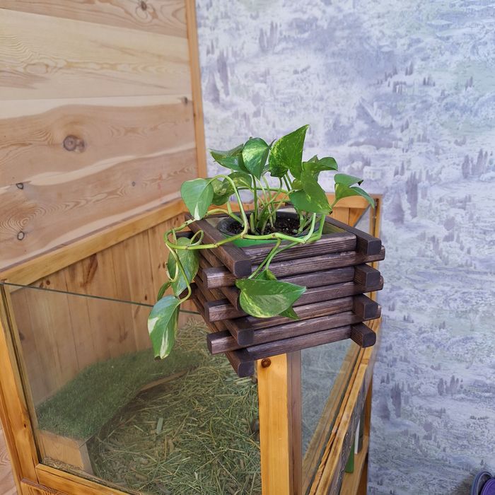 Кашпо и подставки для цветов