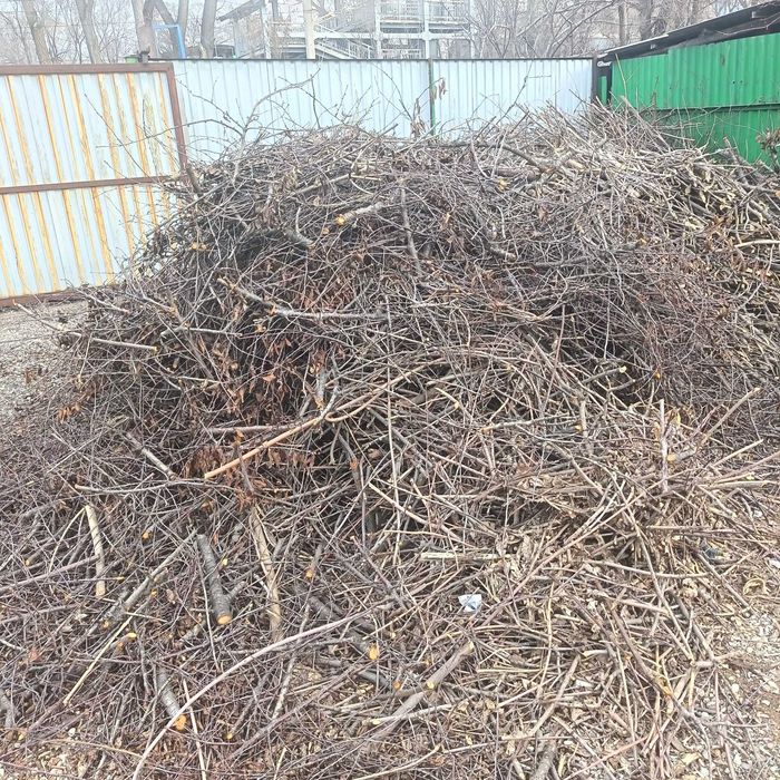 Дрова, хворост отдам бесплатно