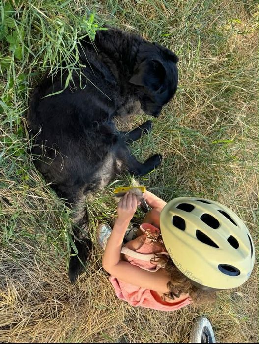 Детска каска за колело Bobike Go Helmet Lemon Sorbet XS