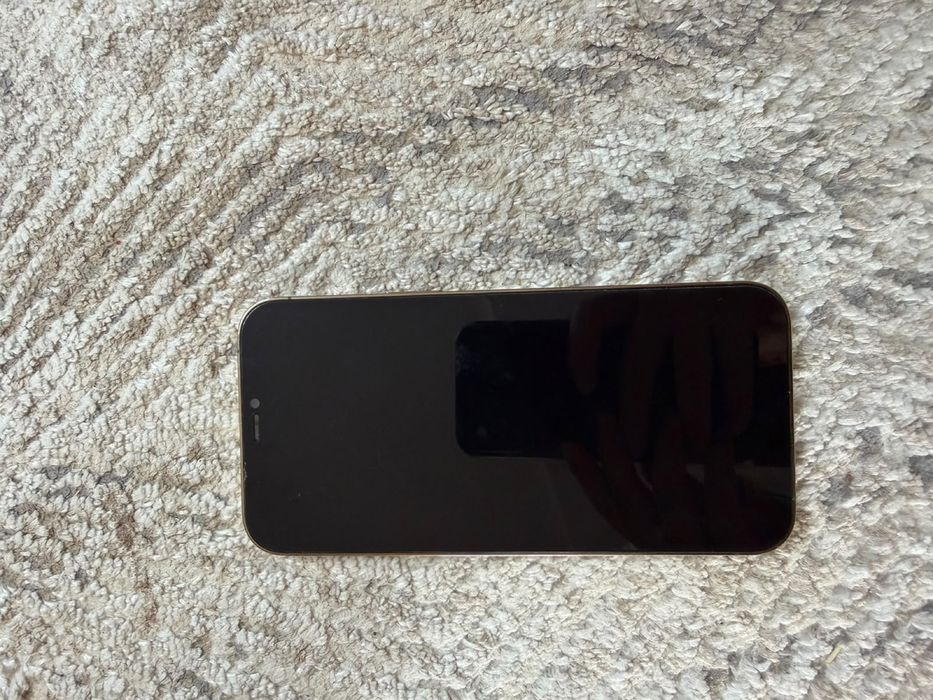 Iphone 12 Pro max