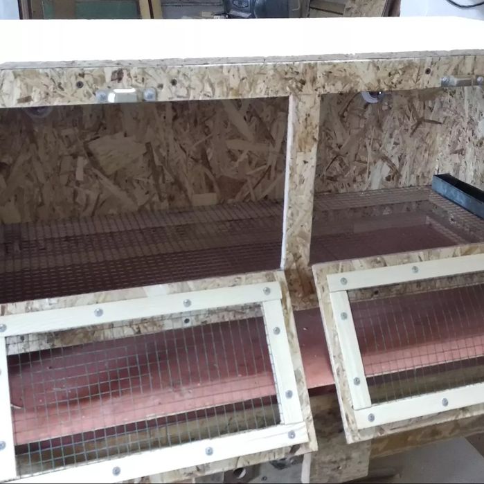 Брудер для цыплят