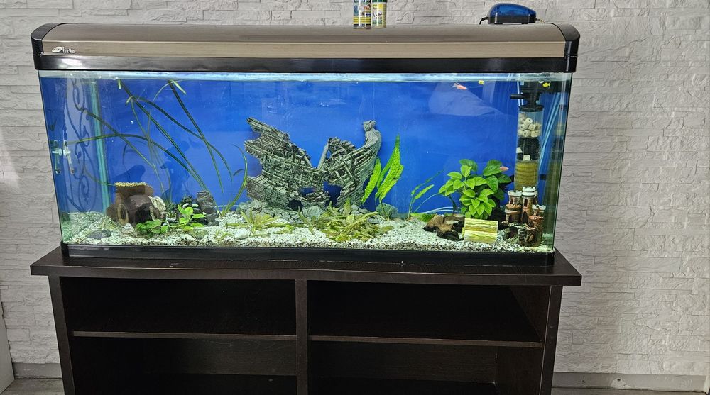 Продам Аквариум 500лт