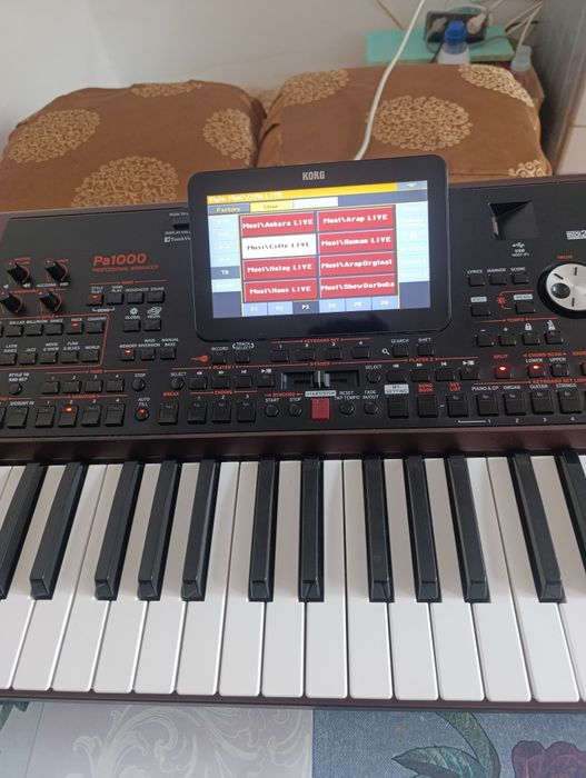 KORG pa1000/семплер total solo 1