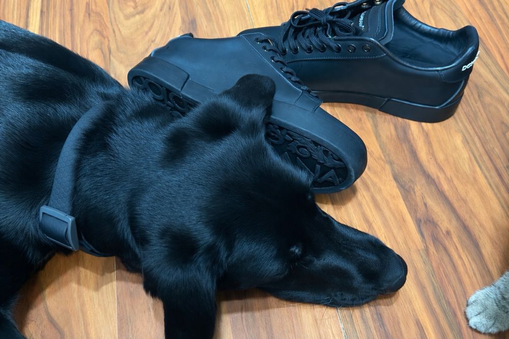 Кроссовки Dolce & Gabbana