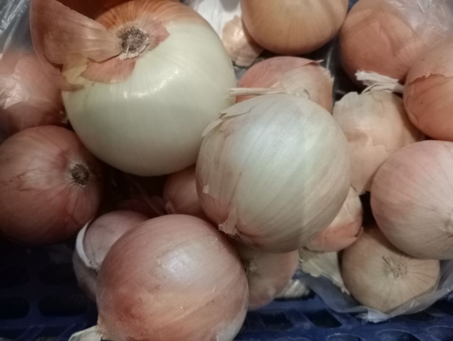 Лук сухой  доставка