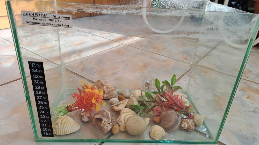 Аквариум за рибки