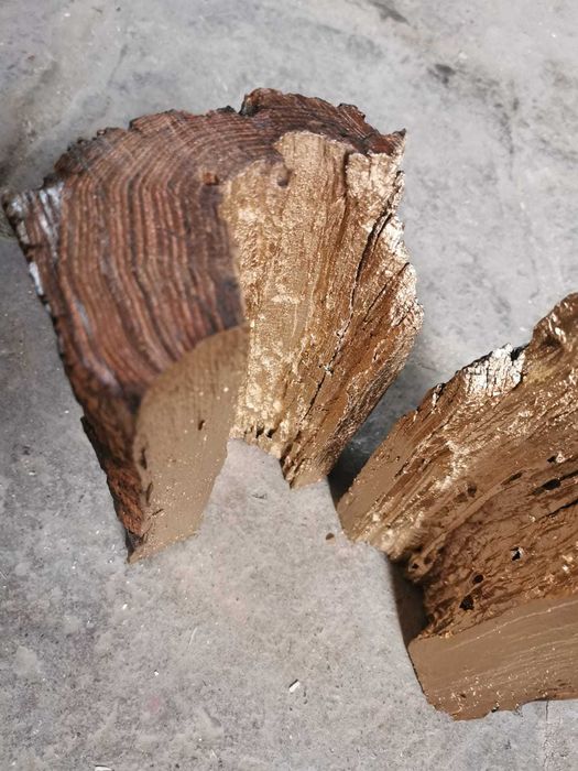 Log Lamps (Lampi din Buturugi