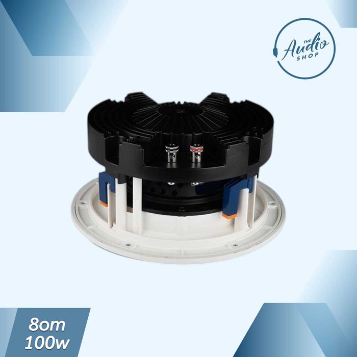 Потолочная колонка K-136 100w 8om