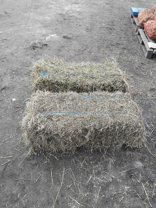 Baloti  lucerna, baloti dr fan-Craiova