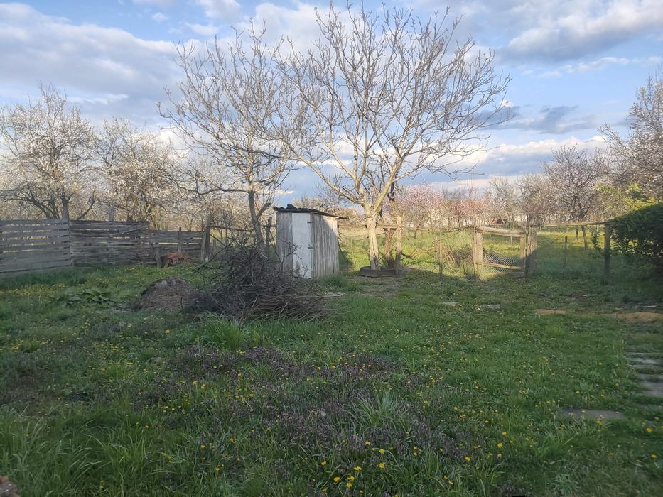 Vând casă cu grădină