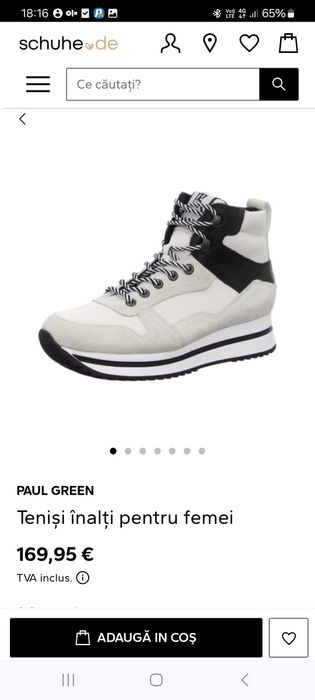 Tenisi Paul Green