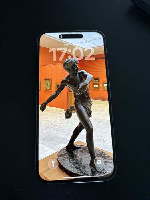 iPhone 14 Pro Max – Aspect 10/10 – Defect SIM (placă de bază) / Piese