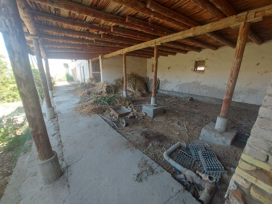 Yangiariq, Avaz O'tar Katta bog' qishlig'ida 16 sotix hovli joy sotila