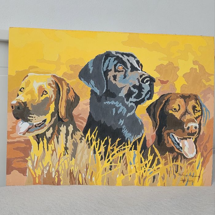 Tablou- pictura pe numere 40x30 cm