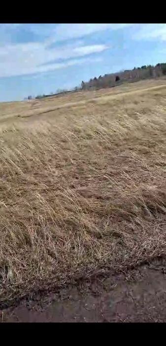 Участок 20 соток