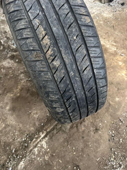 Летняя резина Dunlop