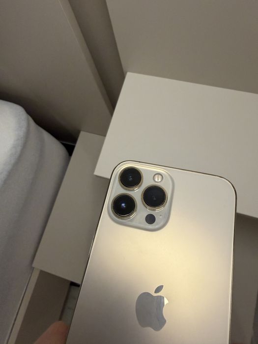 Iphone 13 pro max  256 GB