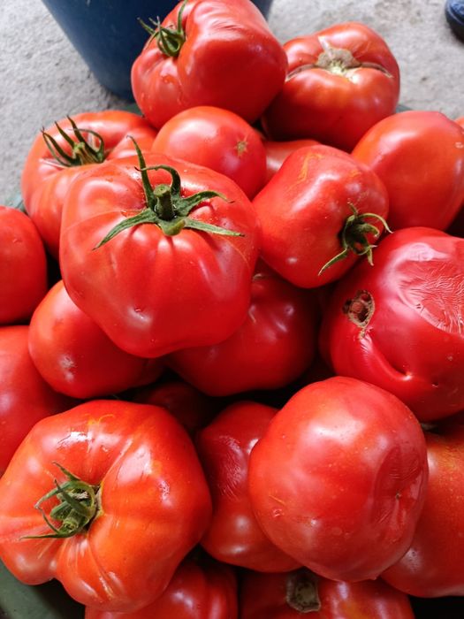 Vand rosii bio de solar
