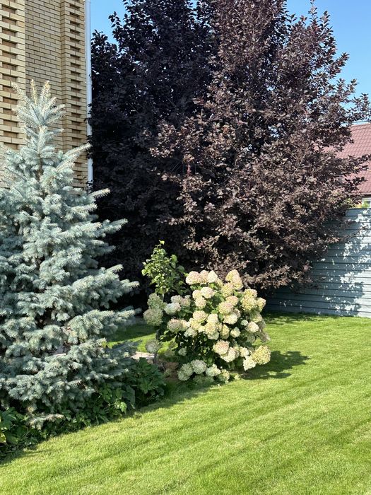 Домдомдом район теплиц