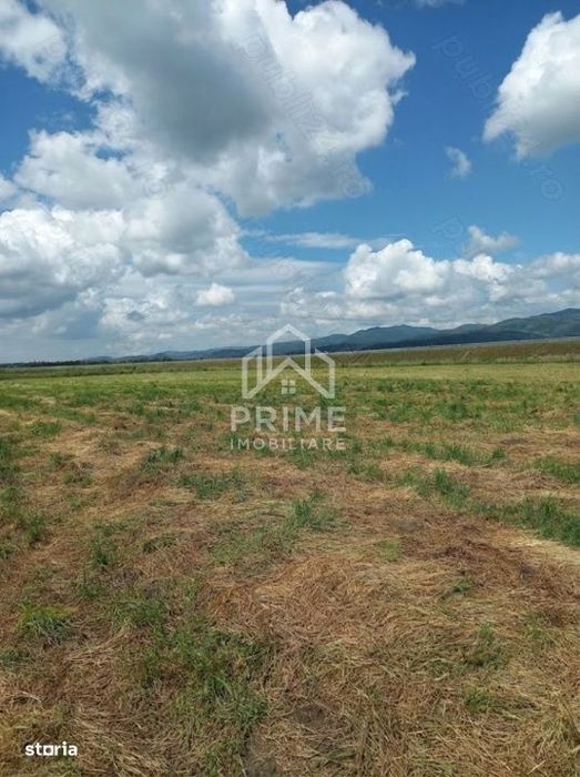 Teren extravilan cu saivan de animale de vanzare| 20.000 mp | SEBES.