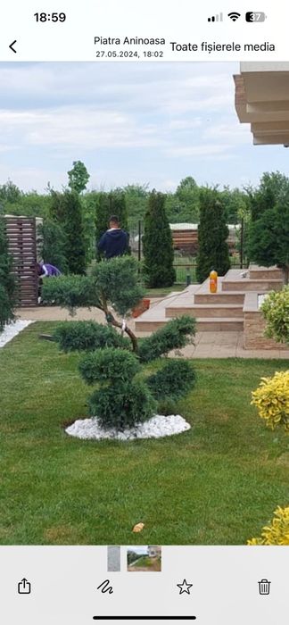 Amenajari gradini de la A la Z