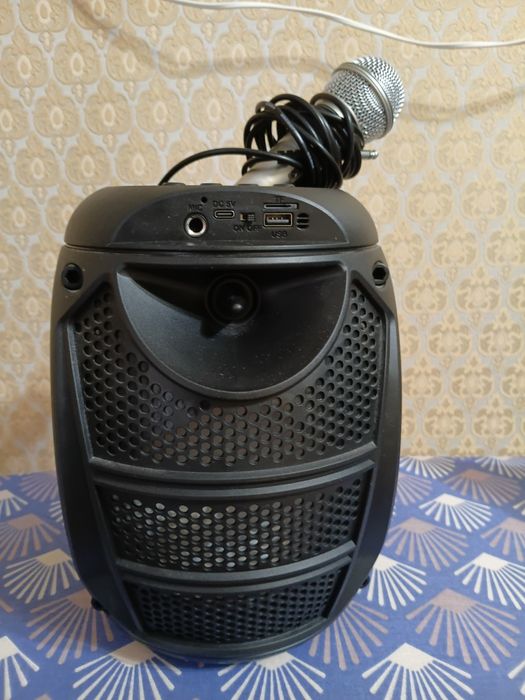 Колонка с микрофоном