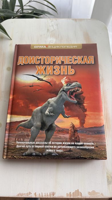Энциклопедии детские