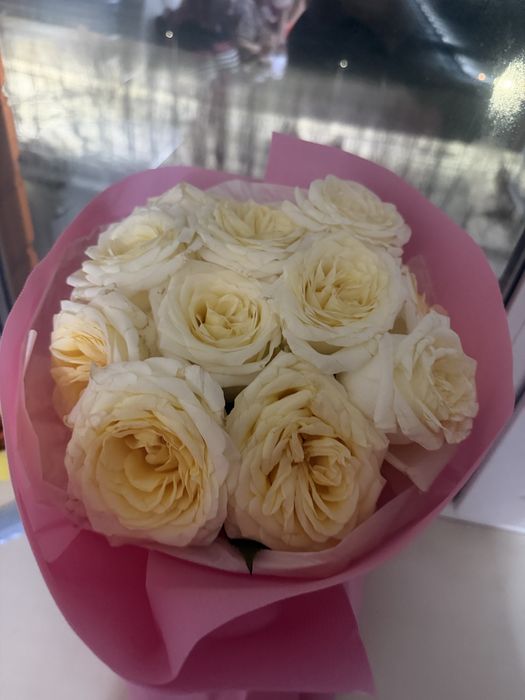 Продам цветы в хорошем состоянии