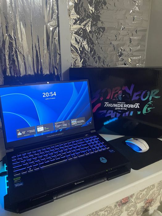 Игровой ноутбук Thunderobot 911S Core D