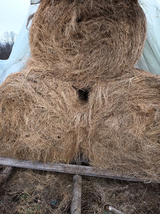 Baloți de fân 
BALOȚI ROTUNZI DE FÂN !
120 / 120 cm 
PREȚ 20