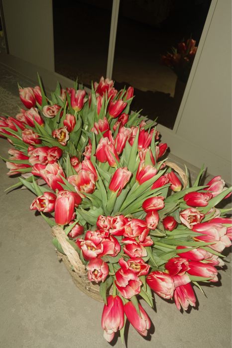 Букет цветов , тюльпаны
