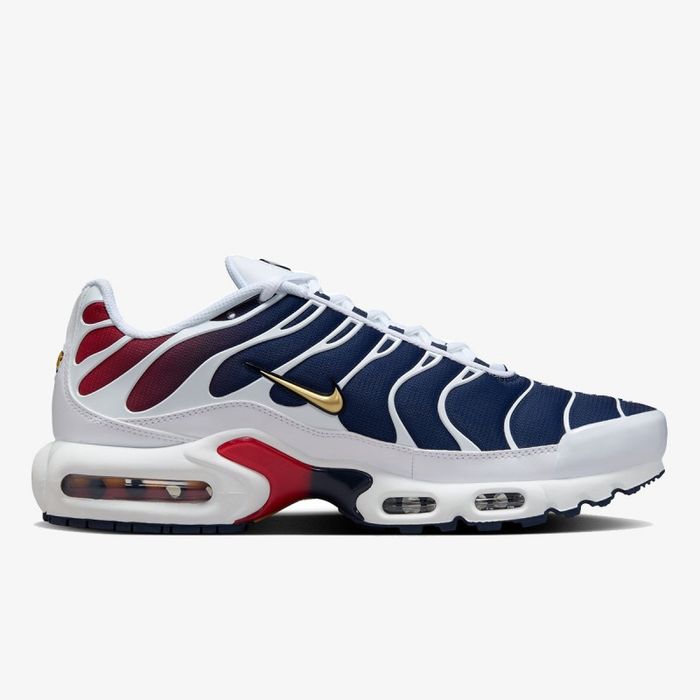Nike Air Max Plus TN PSG