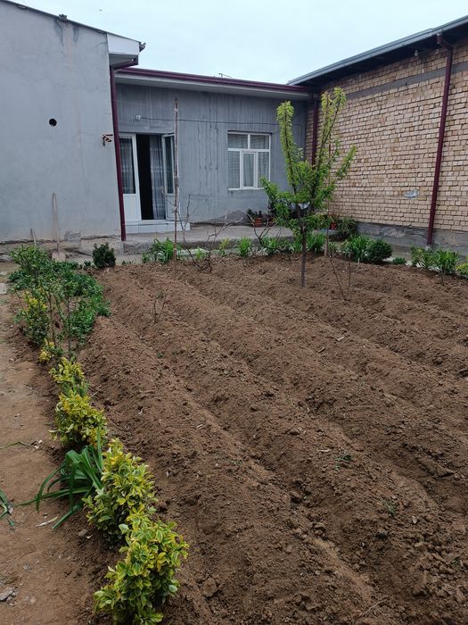 Уй ховли сотаман