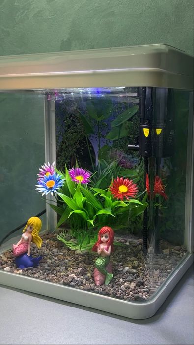 Аквариум 10 л для петушка (Betta)