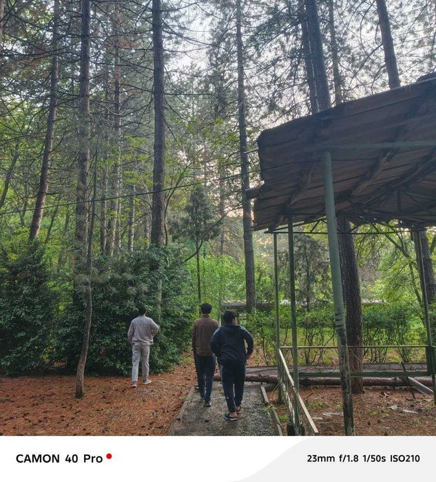 KUMUSHKON sanatoriya oldidan zor YER 55 sotok 80 yillik archala